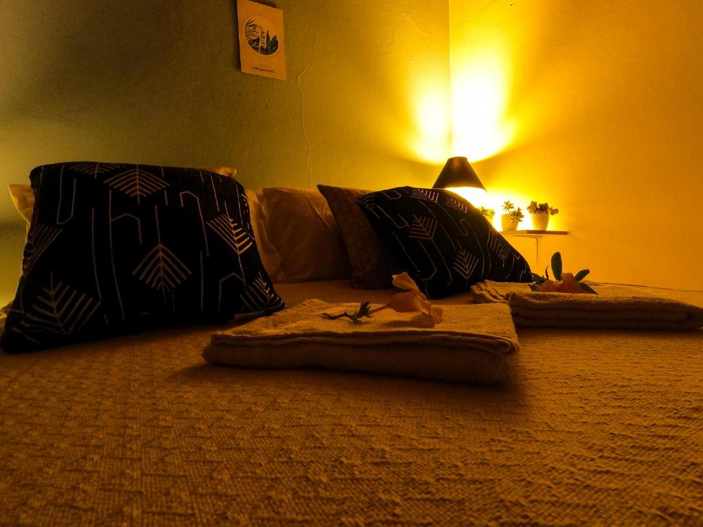 Amazonia Guest House room 1